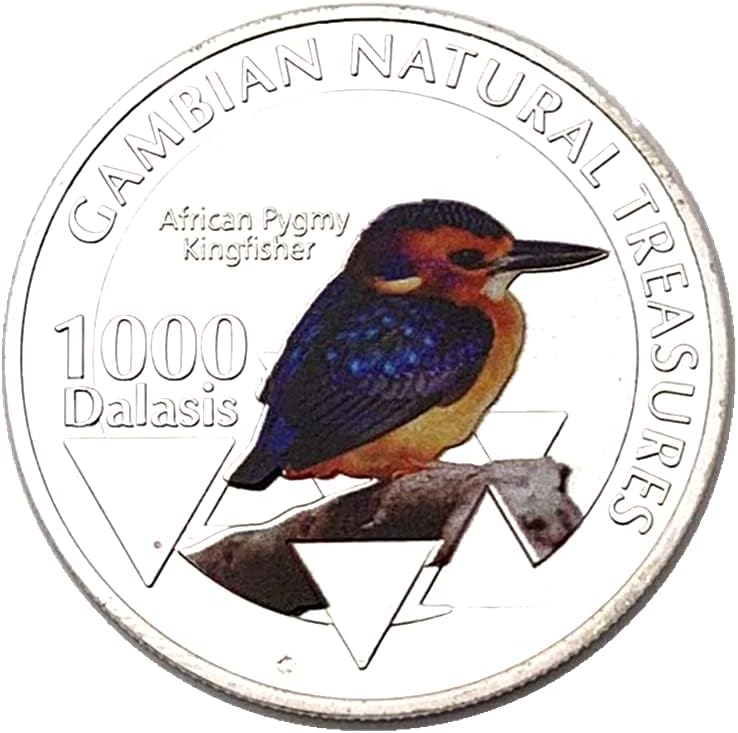 Gambia-Afrikai Pigmeus Kingfisher Emlékérme Természeti Környezet Emlékérme Kingfisher Afrikai Állat-Emlékérme